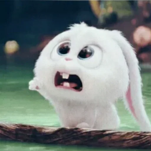 Sticker KrolikStickers - 1