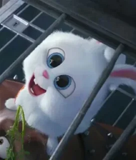 Стикер Rabbit @stickersb2b - 5