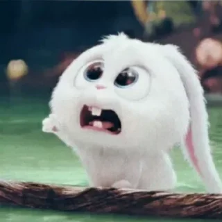 Стикер Rabbit @stickersb2b - 11