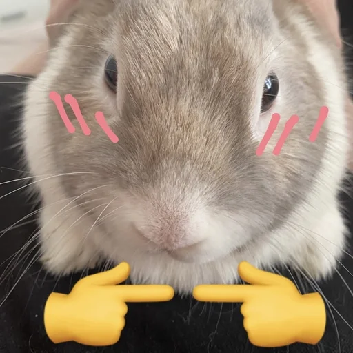 Стикер Krolik_i_Shmel - 1