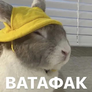 Стикер Кроля - 4