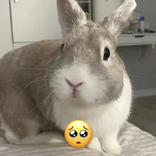 Стикер Кроля - 7