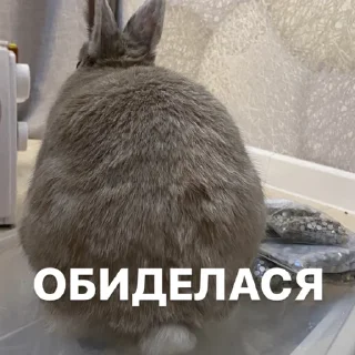 Стикер Кроля - 10