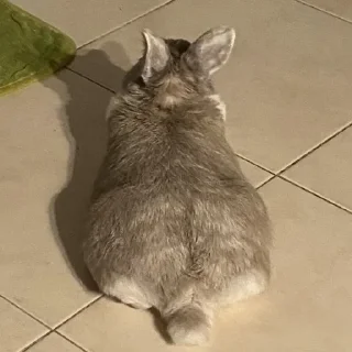 Стикер Кроля - 8