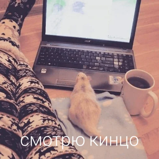 Стикер Krusu_blya - 1