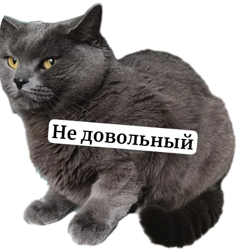 Sticker KrutblE_CtuKErbl - 1