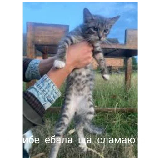 Sticker KrutveStikeryStikeriOtKrutovoOfnika - 1