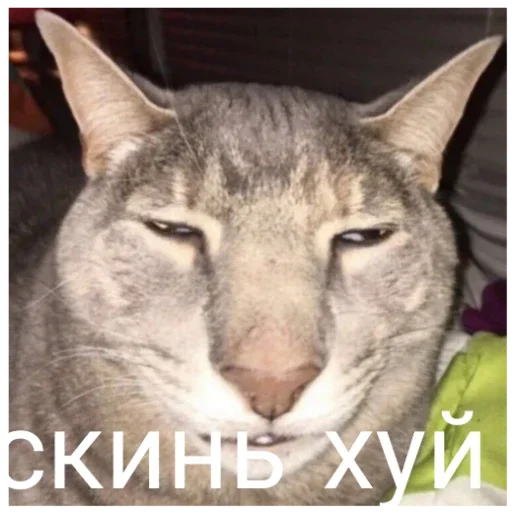 Sticker KrutveStikeryStikeriOtKrutovoOfnika - 1