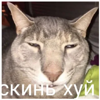 Стикер Крутве стикеры @stikeriOtKrutovoOfnika - 5