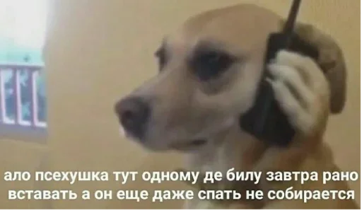 животное СМС млекопитающее