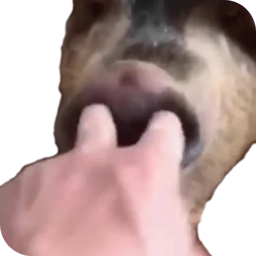 Sticker KrymskijSMERSH - 1