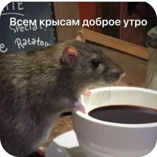 Стикер KrysAsc - 1