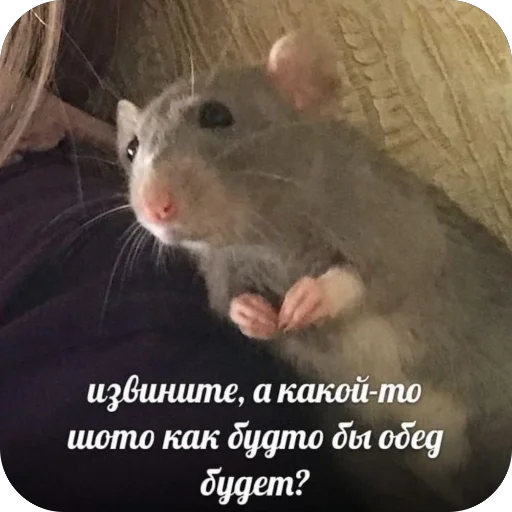 Стикер KrysAsc - 1