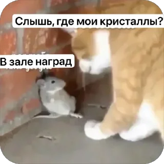 Sticker КрысAsc - 2