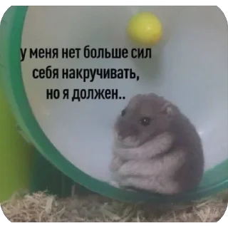 Sticker КрысAsc - 3