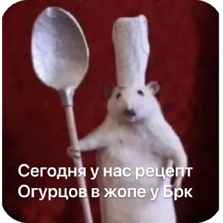 Sticker КрысAsc - 0