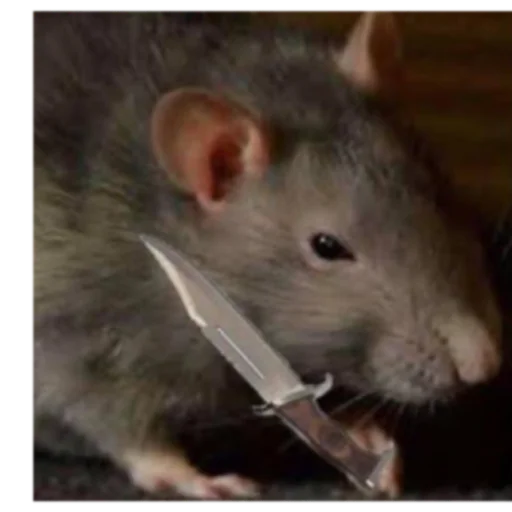 Стикер Krysinpack - 1