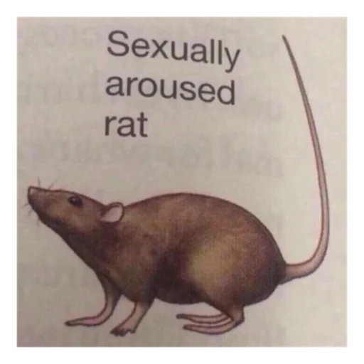 Стикер Krysinpack - 1