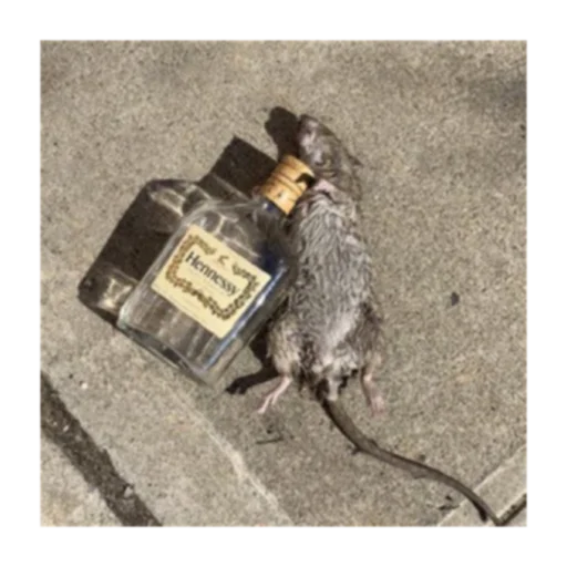 Sticker Krysinpack - 1