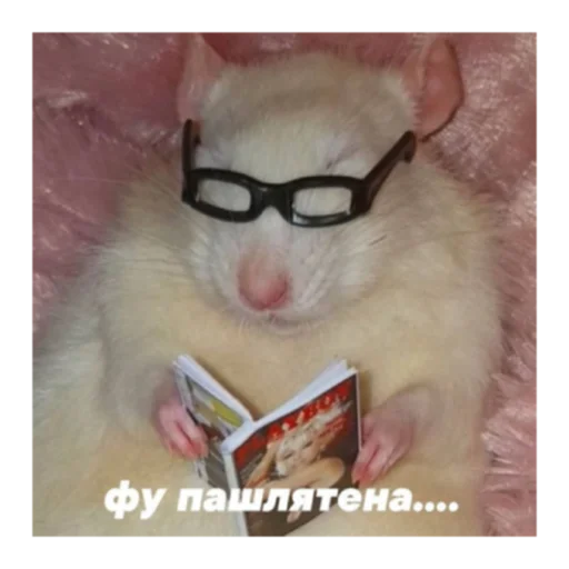 Стикер Krysinpack - 1