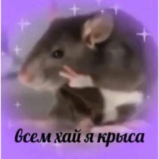 Sticker Krysinpack - 1