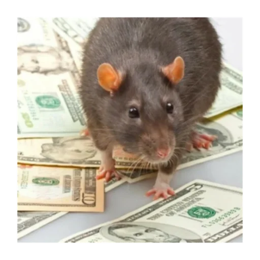 Стикер Krysinpack - 1