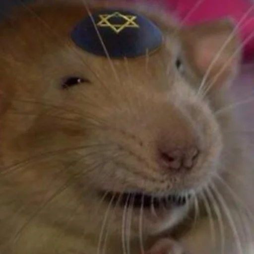 Стикер Krysinpack - 1