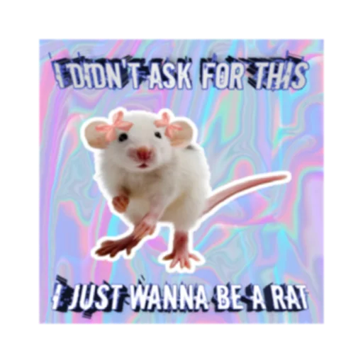 Sticker Krysinpack - 1