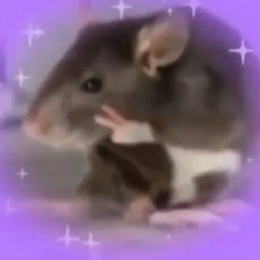 Стикер Krysinpack - 1