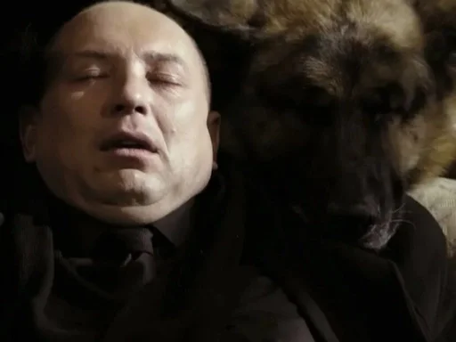 Человек человеческое лицо животное