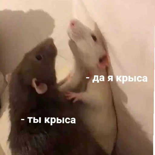 Sticker Kryssovet_91 - 1