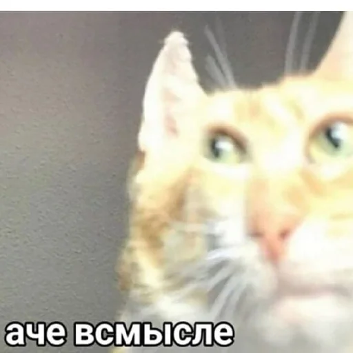 Sticker Kryssovet_91 - 1