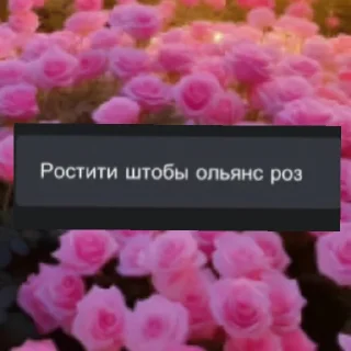 Sticker Крыссовет - 10