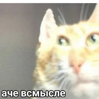 Sticker Крыссовет - 6