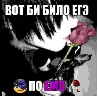 Sticker ксюша топ - 6