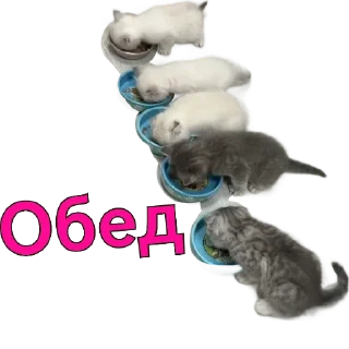 Стикер KtoTyt - 1