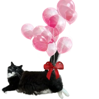 Стикер KtoTyt - 3