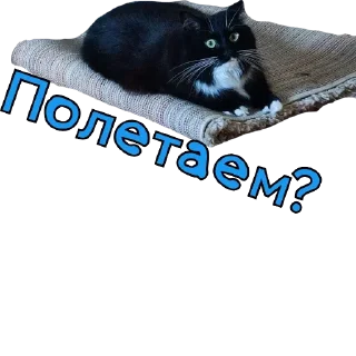 Стикер KtoTyt - 8