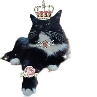 Стикер KtoTyt - 0