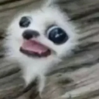 Sticker Кто прочитал тот гей - 5