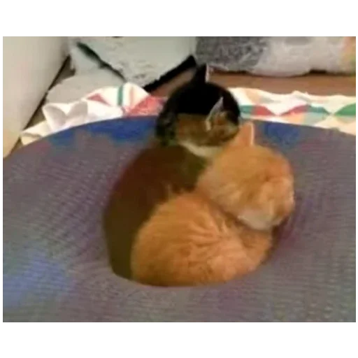 Стикер Ктоташлепс - 1