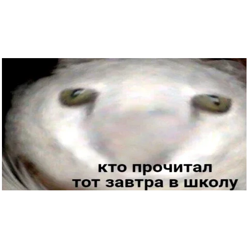 Стикер Ктоташлёпс - 11