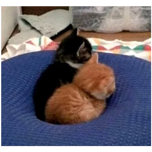 Стикер Ктоташлёпс - 6