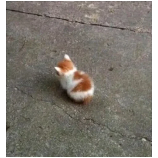 Стикер Ктоташлёпс - 2