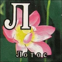 Стикер Кубики - 3