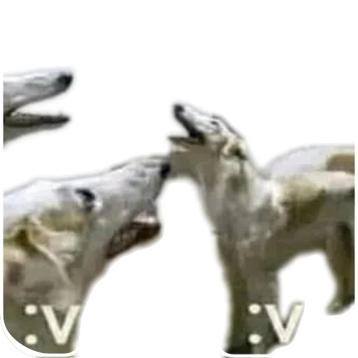 Стикер KudaOniPropaliBzzBzzzBzzzzUrauOniVernulis - 1