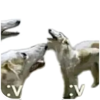 Стикер куда они пропали бзз бззз бзззз урау они вернулись - 2