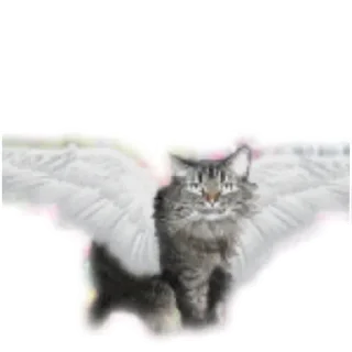 Стикер куда они пропали бзз бззз бзззз урау они вернулись - 10