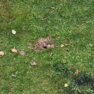 Sticker Пища богов - 3