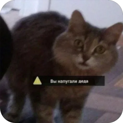 Стикер Kukpuk6 - 1